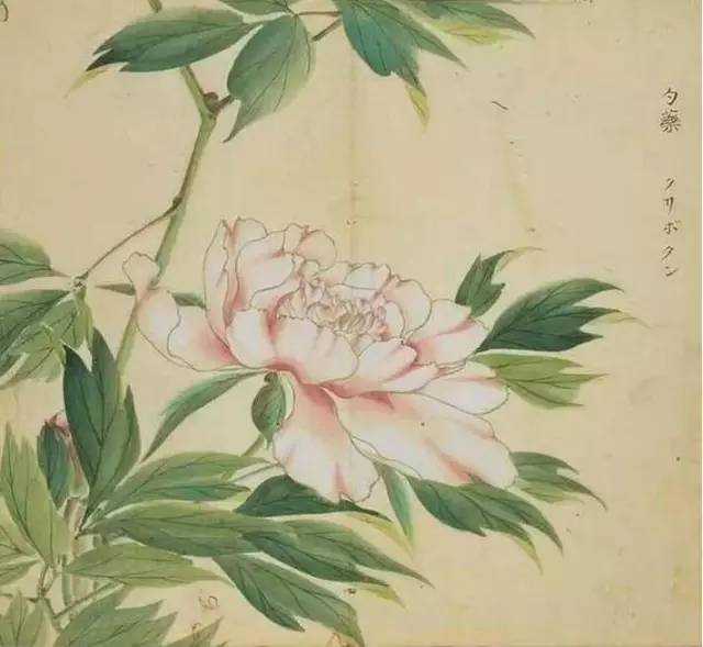 五千年来最美的20首诗,100首美到窒息的诗句