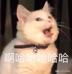 英雄联盟差点取名QQ魔法战争？LOL中文名票选里的备选名字太搞笑