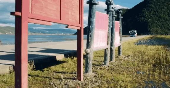 带你Get《司藤》同款神仙美景，春天的香格里拉这样玩