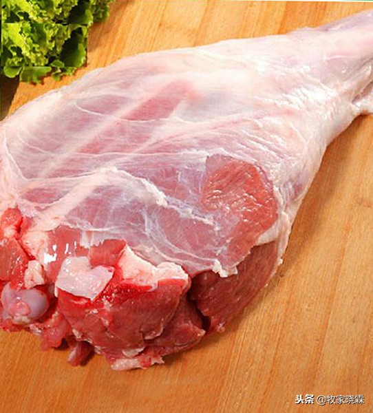 内蒙羊肉好还是宁夏羊肉好,内蒙羊肉哪的好吃