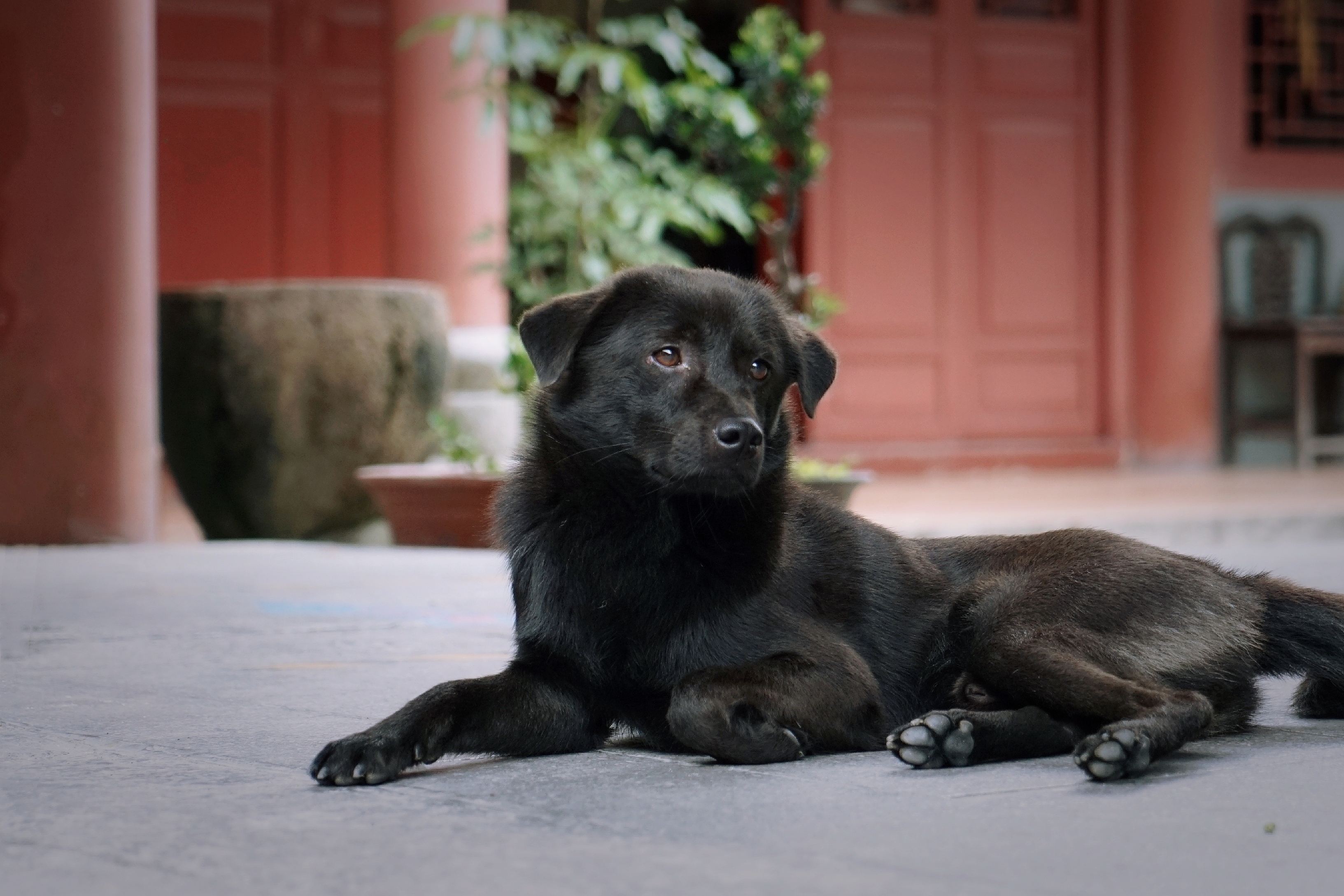 命运变好最简单的方法,让命变好又得福报的7条秘法