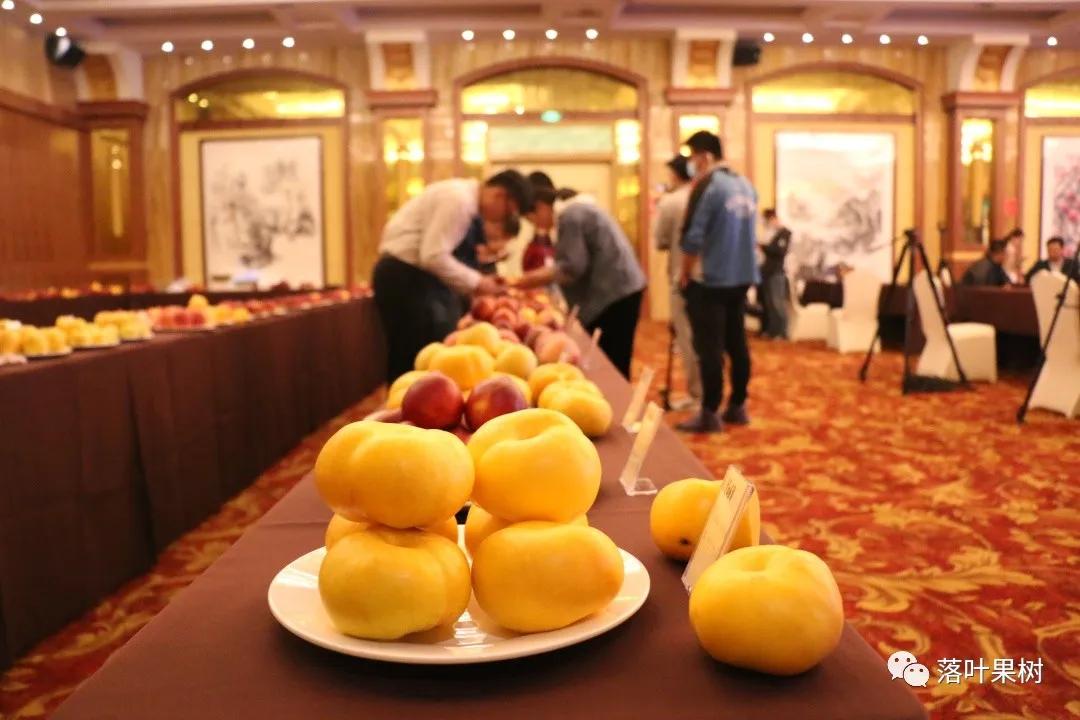 中国桃产业转型升级,桃产业转型升级的思考