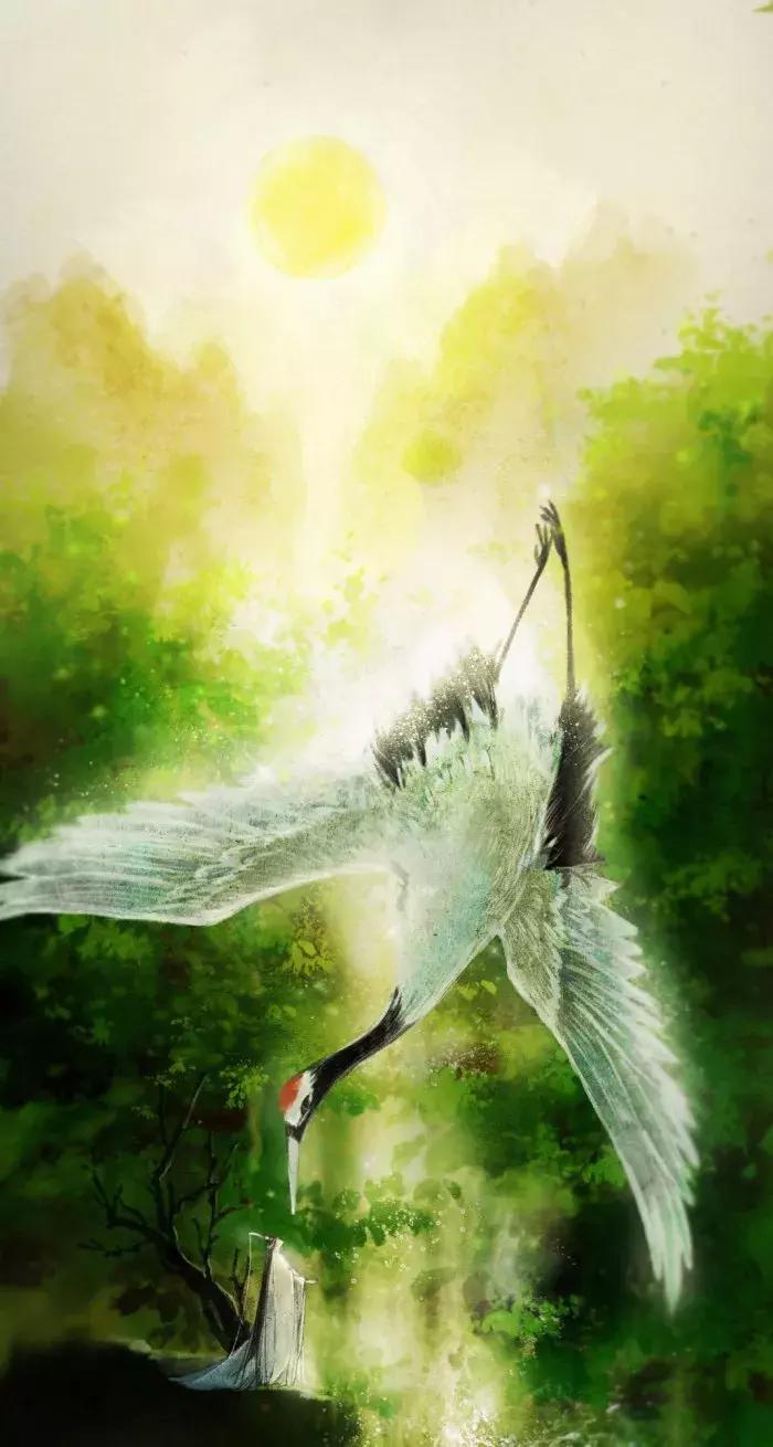 属猪的几月出生好真的准吗,几月出生水旺