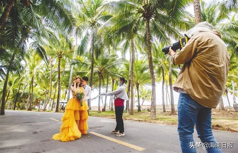 三亚市婚庆旅游产业发展规划2018,三亚婚庆旅游对总旅游经济的影响