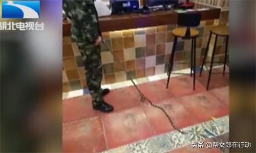 男子带毒蛇开房，强迫女子发生性关系，事后竟被被咬死