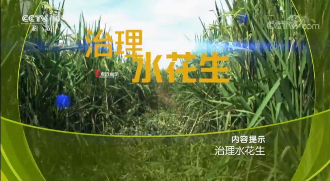 走近科学童年阴影,童年阴影走近科学停播了吗