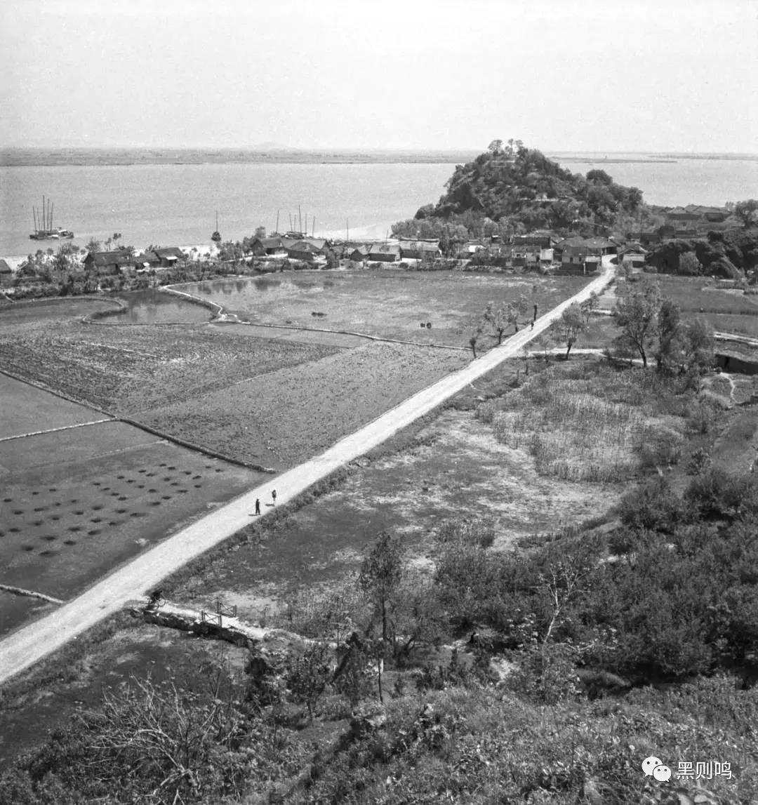 1934年的南京城,1944年南京视频