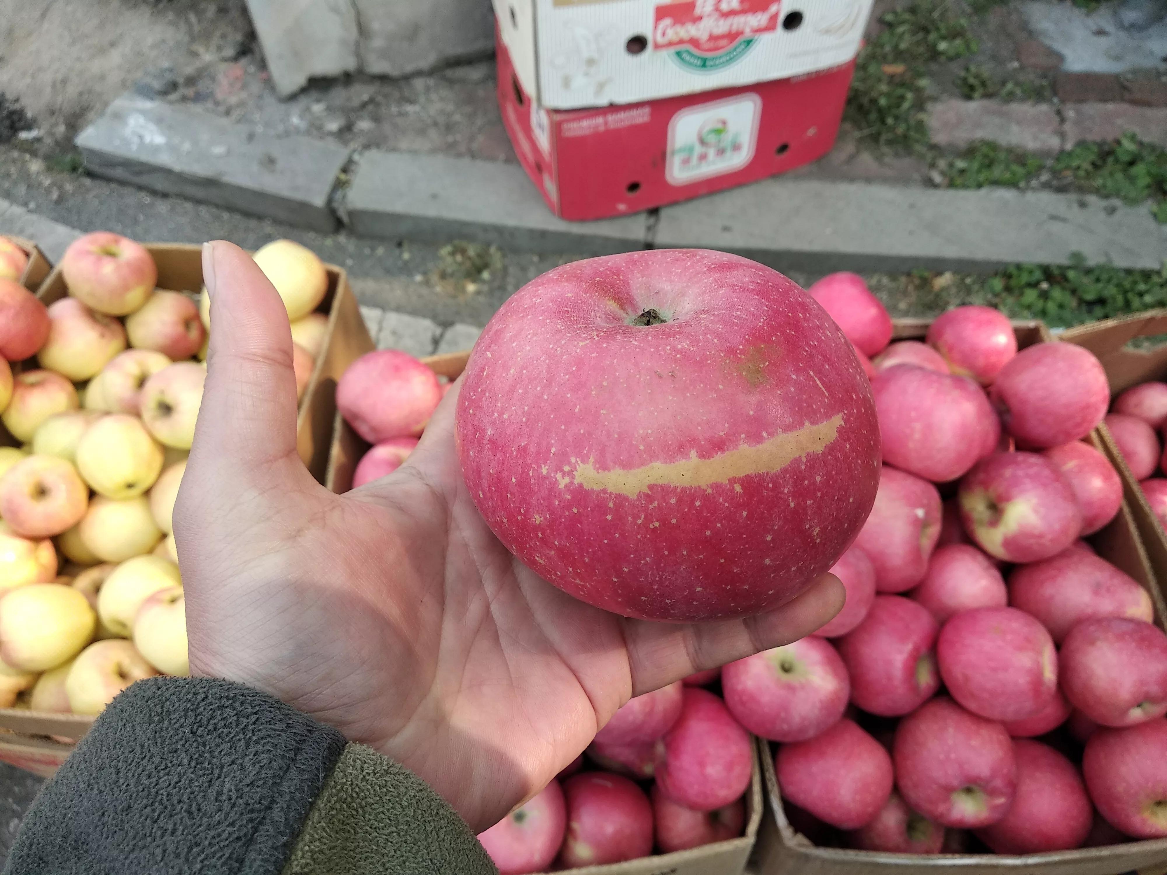 怎样挑选苹果的正确方法,买苹果选啥样的好