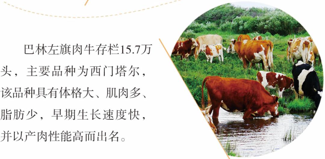 投资兴业沃土蕴藏无限商机——了解一下巴林左旗