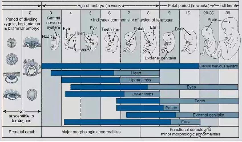 产科全麻病例讨论,妊娠期非产科手术麻醉指南