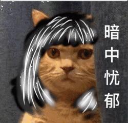 网名青春的记忆,网名奋斗的青春