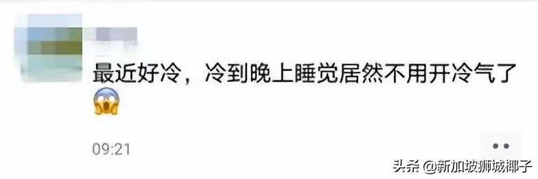 新加坡冻成狗,新加坡狂风暴雨来袭