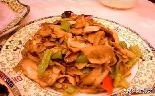 世界上最好看的可食用菌菇,世界最好吃的菌菇排名