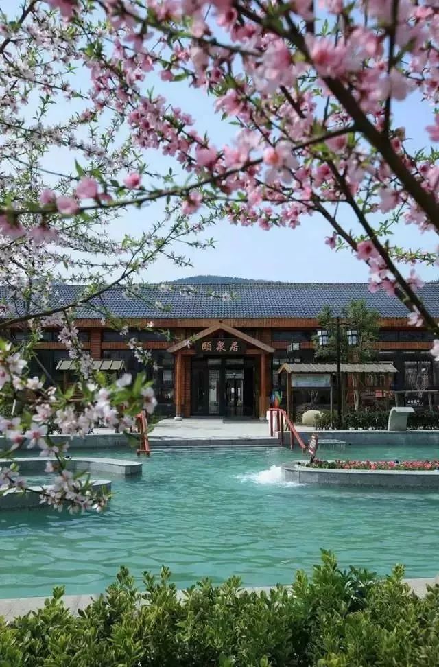 没有孵过混堂的上海冬天，是不完整的