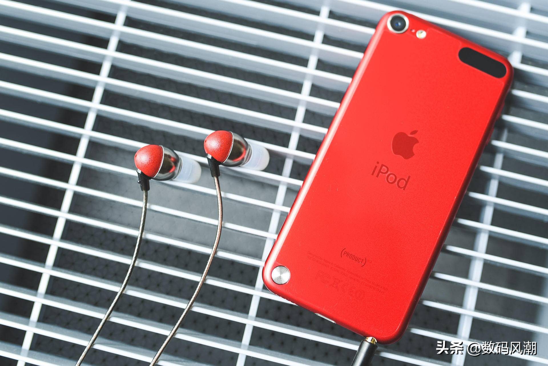 好听还不贵，茶乐音人Co-Dongur直接给我一步到位了