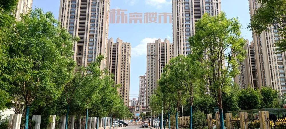 于洪新城第一小学学区,于洪区重点小学