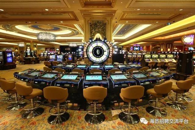 不要再被骗智商税,不要再被骗的话