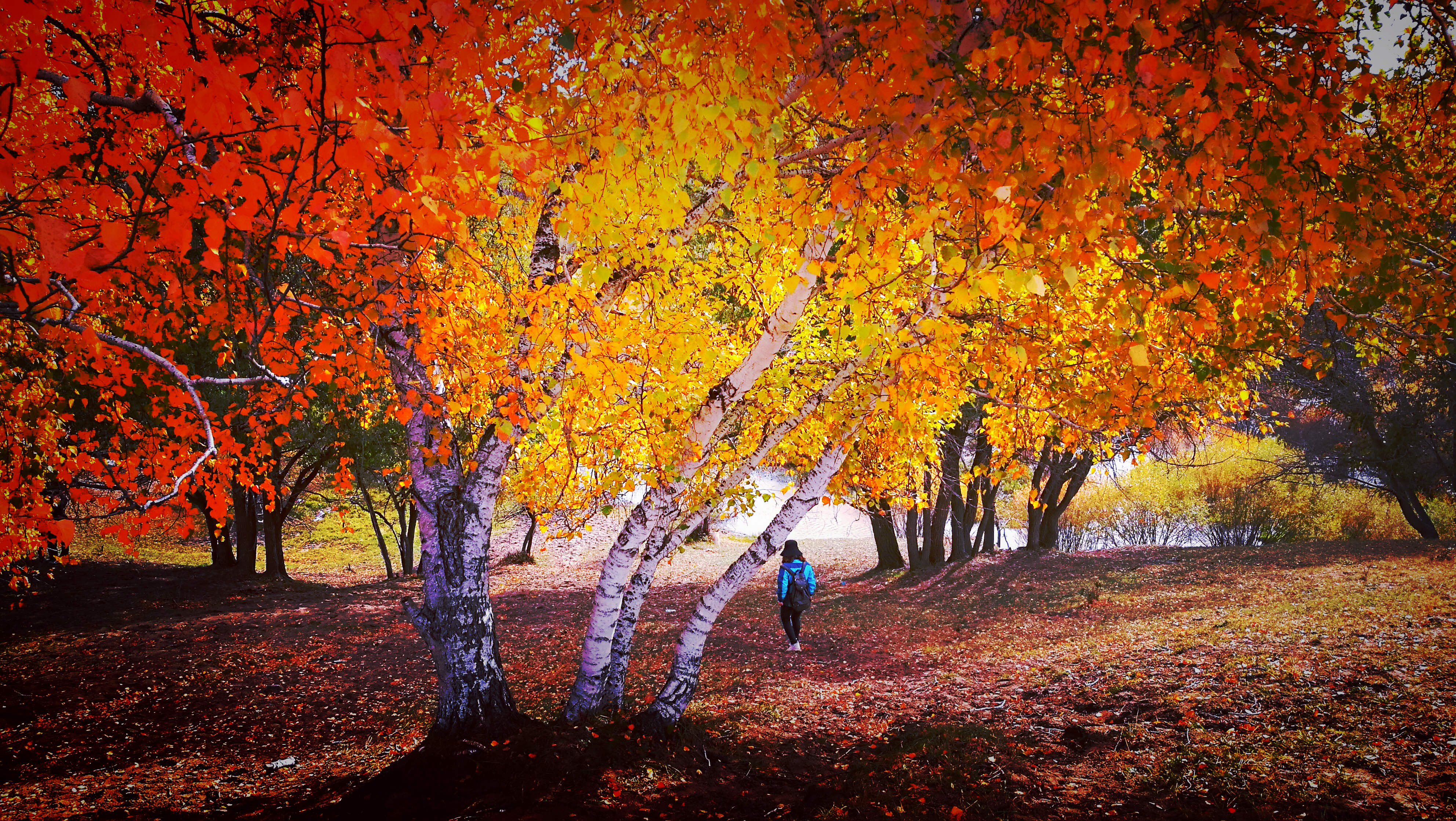 摄影师田晓：从镜头中寻找新感觉