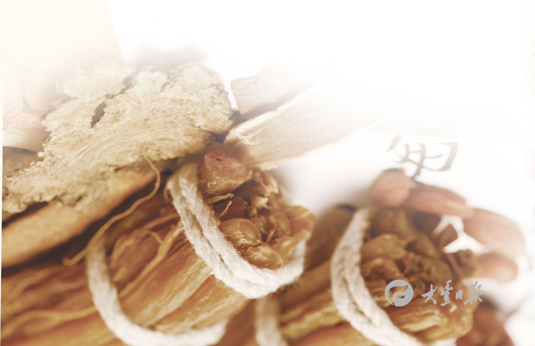 传承精华守正创新弘扬中医药文化,守正创新做好中医药传承发展工作