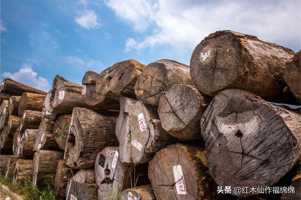 你买的红木真的便宜吗,东阳缅花家具价格一览表