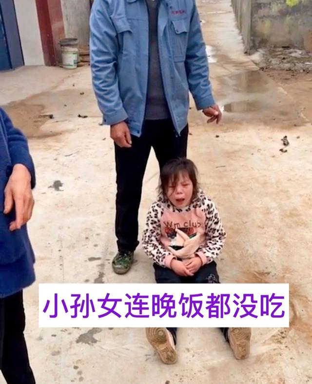 河南奶奶10元卖孙女养2年的狗,河南一奶奶10块卖狗奶奶后续