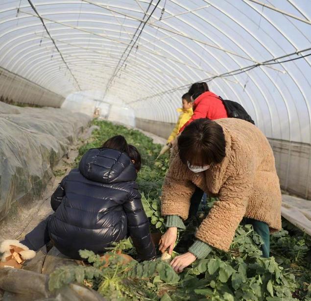 邓超带孙俪坐三轮,邓超带孙俪骑电动车