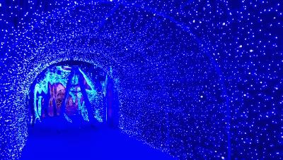 福利满满惊喜不断,福利惊喜活动