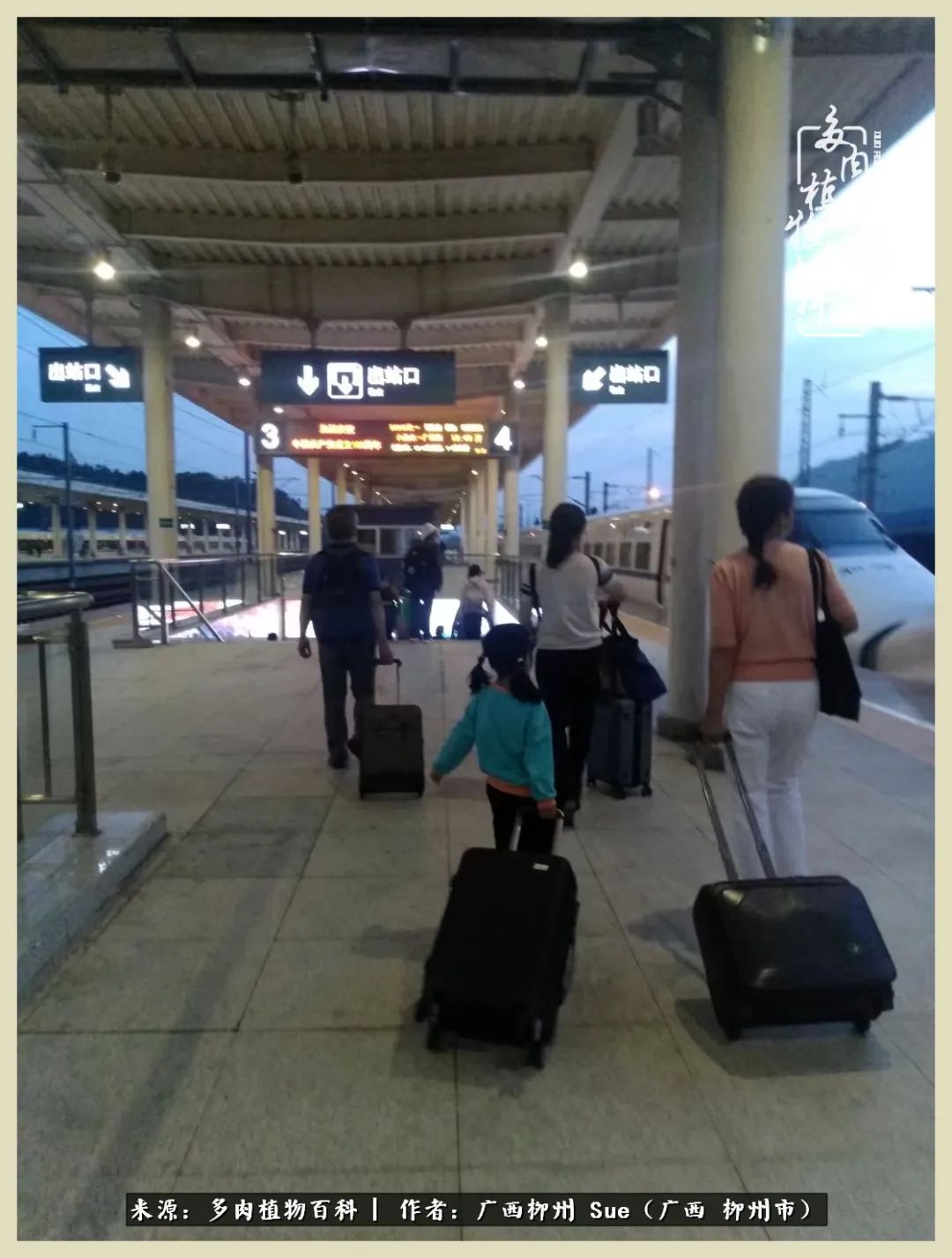 艳阳高照凉爽贵州,我要勤快地捕捉美好!(二)