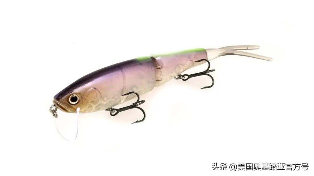 2024全国渔具展会一览表最新,2022年全国渔具展在哪