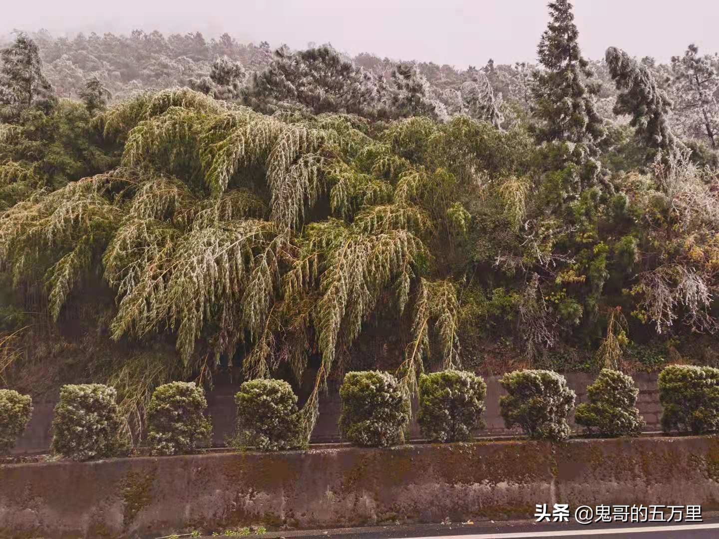 鬼哥的五万里D118骑记：云南，未来可期,泸西县-罗平县