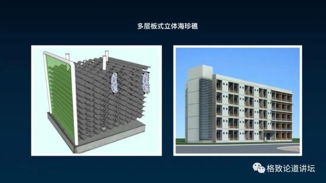 除了能提高人体免疫力，这个“肥宅”还是海底清道夫