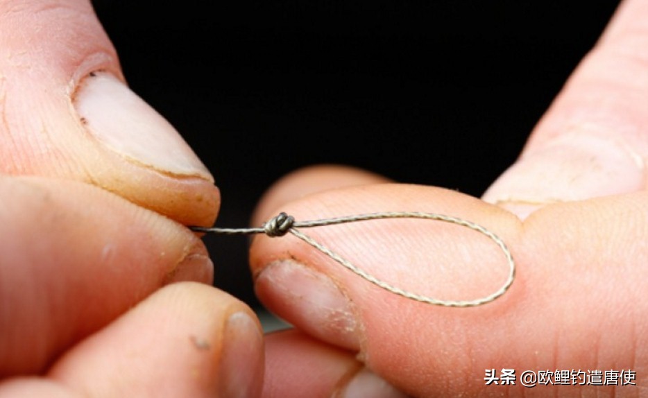 为什么鲤鱼比鲫鱼难钓,为什么鲫鱼这么难咬钩