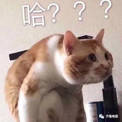 男子用两个平台抢春运火车票，花两份钱竟买了同一个？