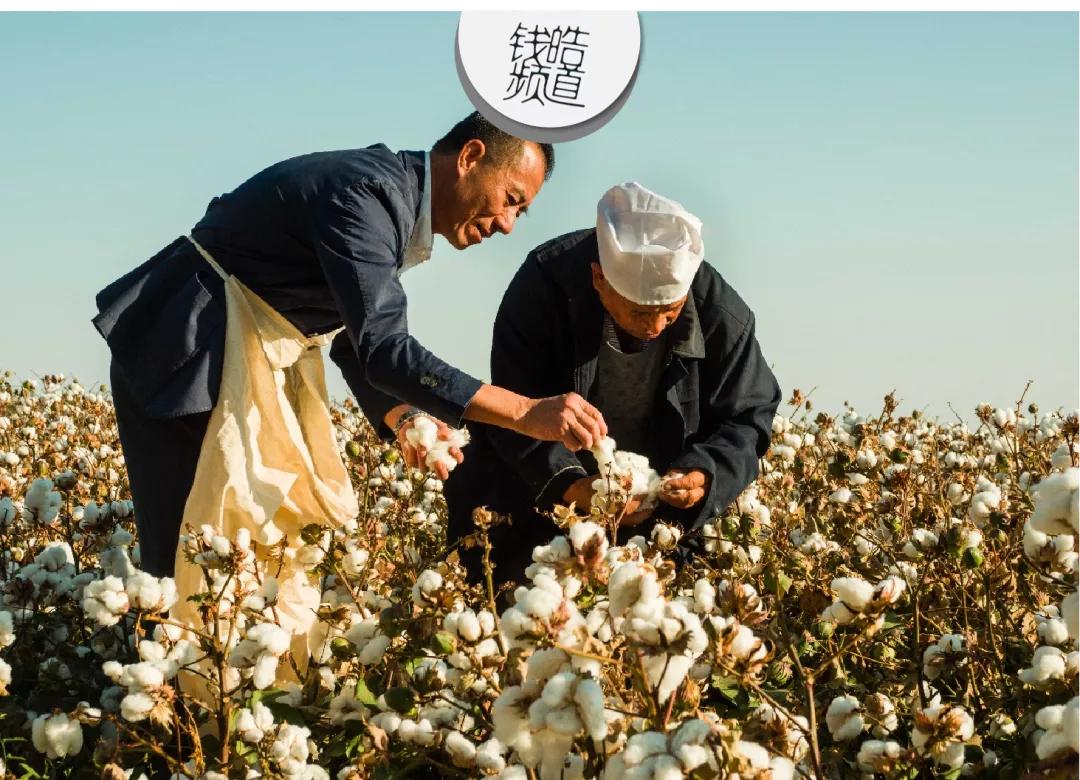 稳健医疗有前途吗,稳健医疗未来趋势