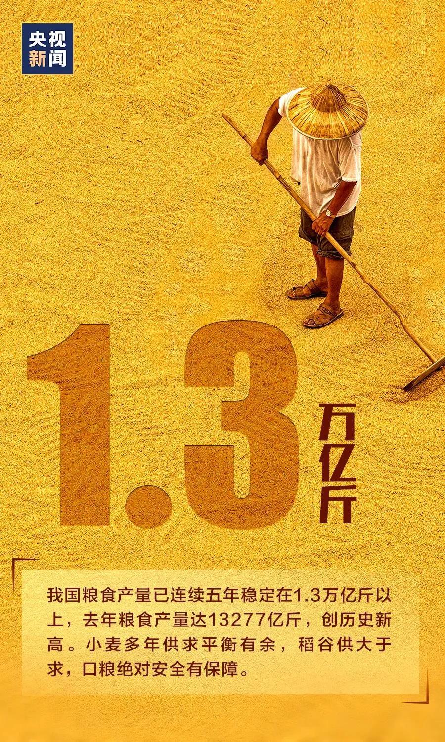 万全实验小学怎么样,万全镇新学校什么时候盖