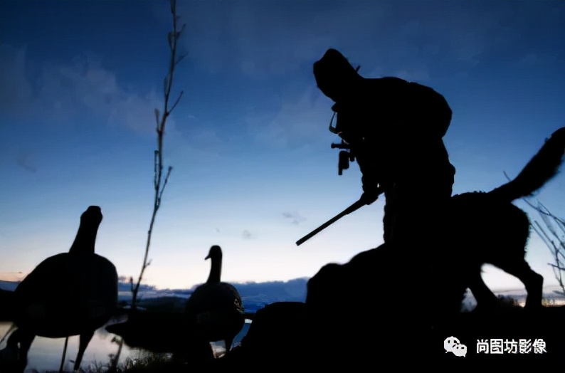 国际摄影展获奖作品,国际摄影获奖作品欣赏第88期