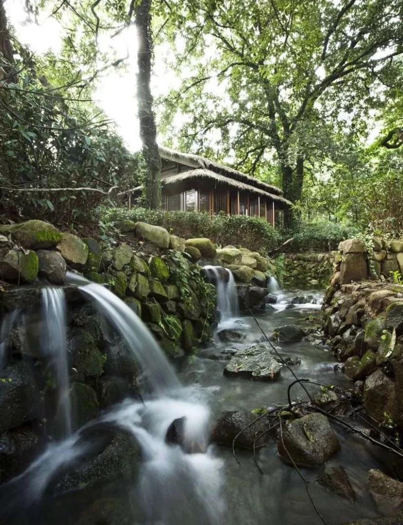 杭州最好的黑珍珠餐厅,各地黑珍珠餐厅榜单