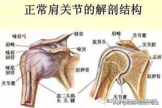 肩周炎积液疼痛难忍怎么治疗,肩周炎疼痛难忍如何解决疼痛