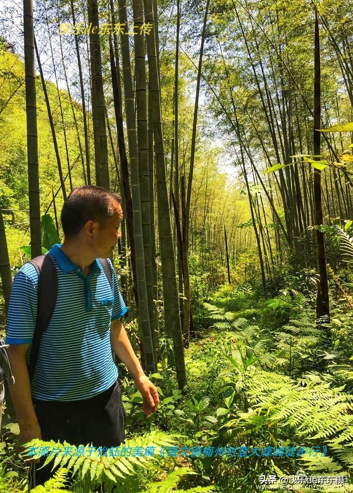 广东梅州千年古村,梅州市山青水秀