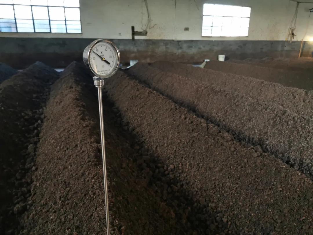 上发酵下发酵的区别,同样是发酵区别到底在哪