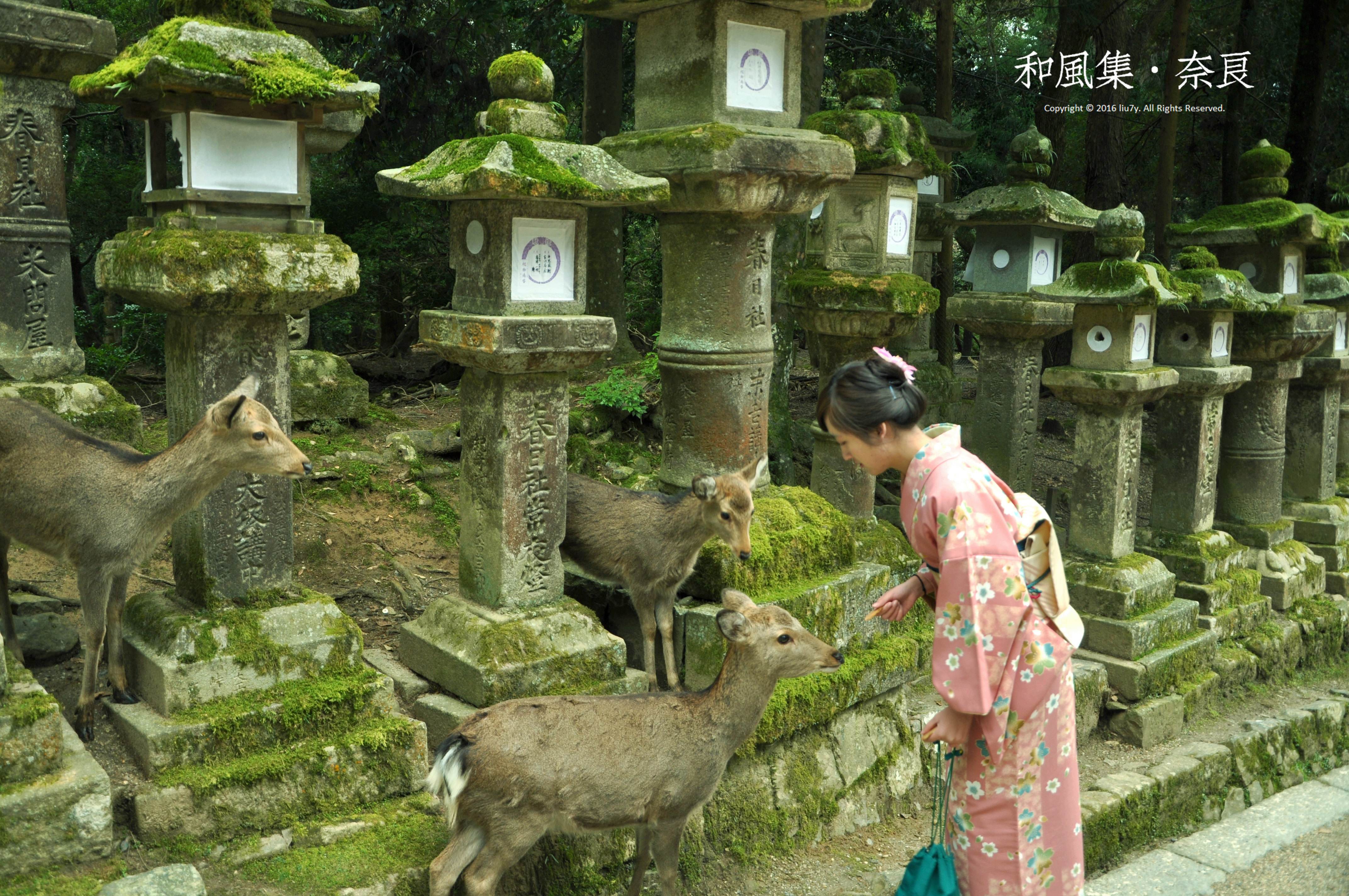 日语日本人中文谐音,日语汉字大全表