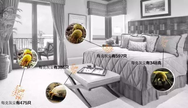 头皮出油屑多怎么去除,头皮痒出油有螨虫怎么解决