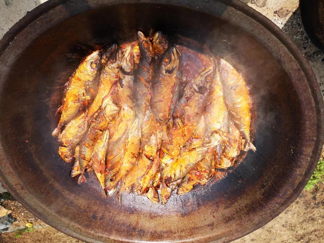 真香预警!300亩花海盛放,烤全羊十里飘香!