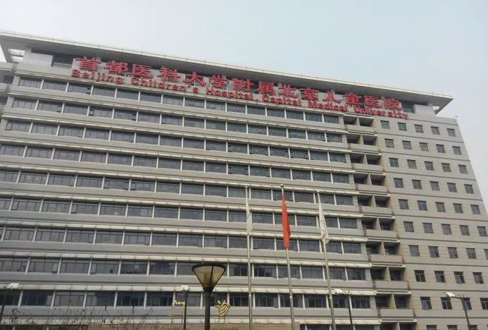 月坛银杏,月坛公园有银杏吗