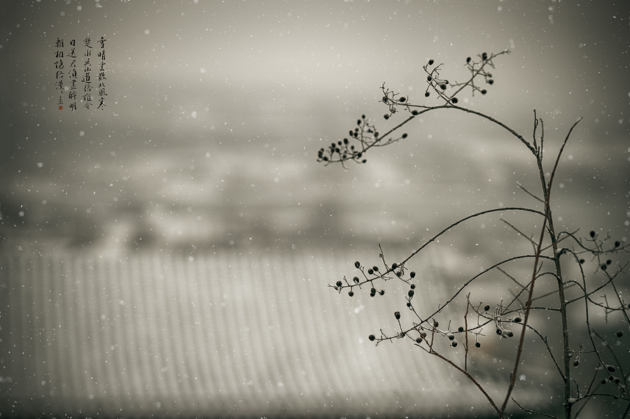 雪中楼阁诗句,雪中真武殿