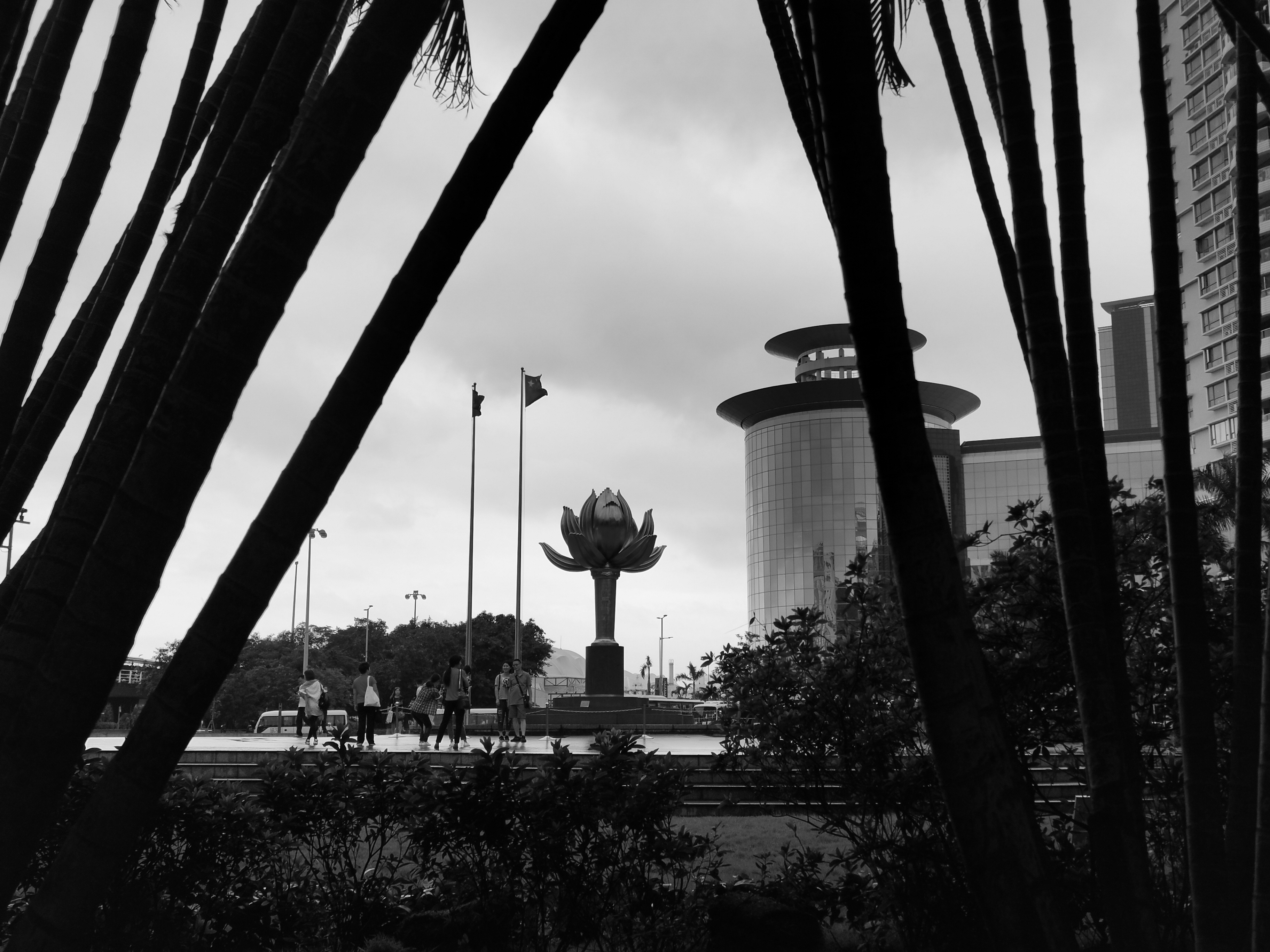 出门旅游不拍照怎么办,华为p30pro海边拍照技巧