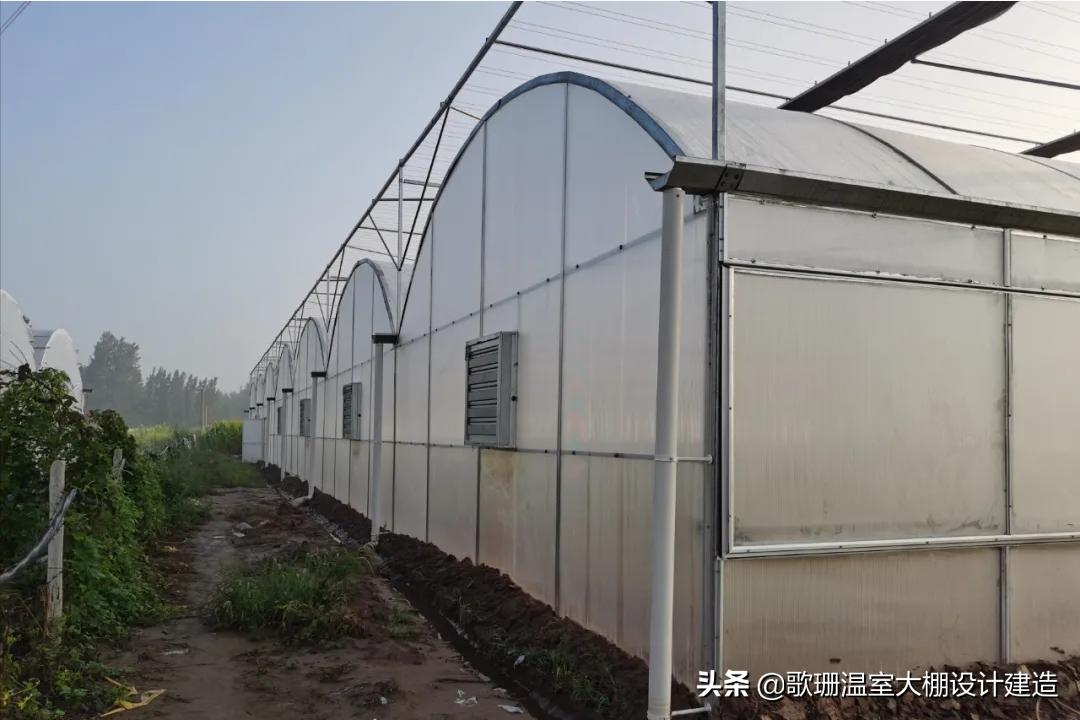 歌珊玻璃温室大棚安装,pc阳光板温室大棚的造价