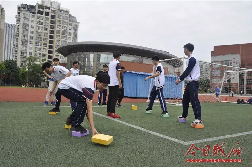 文体教育活动,文体教育系列活动