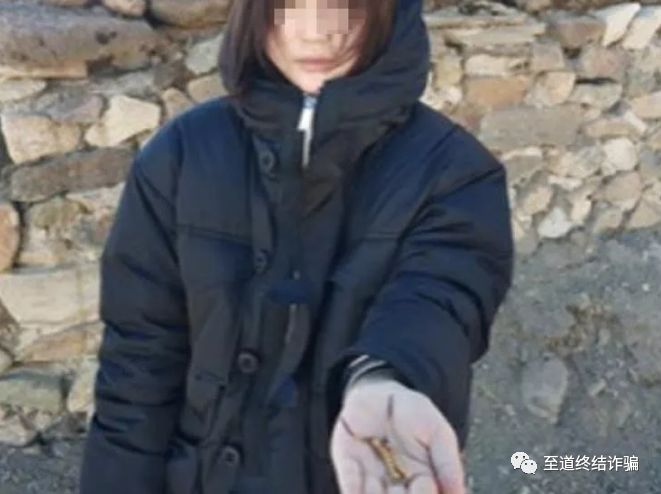 【净网2019】警惕！“卖茶姑娘”后，“虫草小妹”又来了，诈骗手段升级