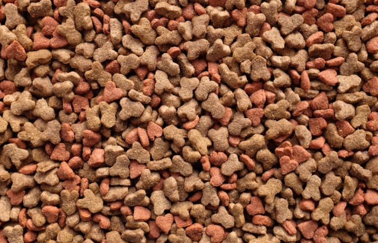 缅因猫吃什么猫粮比较好吃,缅因猫一定要吃益生菌吗